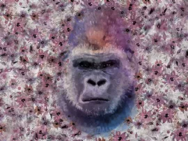 Monkey Kong