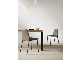 Zara Up